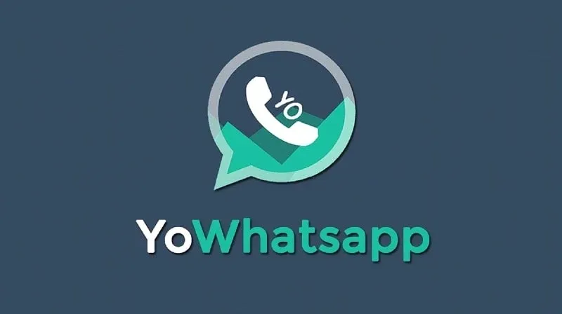 YO WhatsApp Pro APK Download Experience